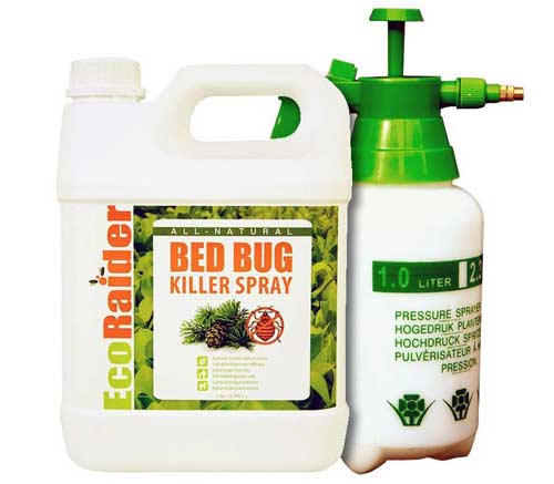 1-Eco-Raider-Best-Bed-Bug-K 1-Eco-Raider-Best-Bed-Bug-K