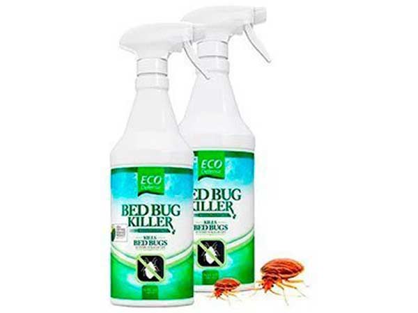 2-Eco-Defense-Best-Bed-Bug- 2-Eco-Defense-Best-Bed-Bug-
